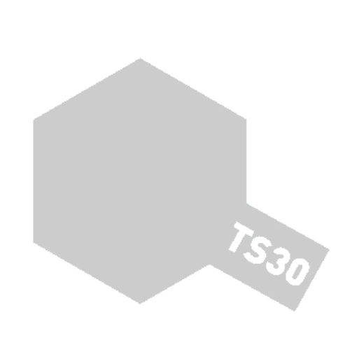 [85030] TS30 실버 리프